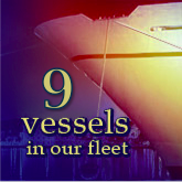 12 vessels